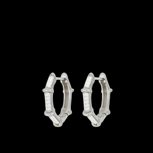 Orecchini in Argento