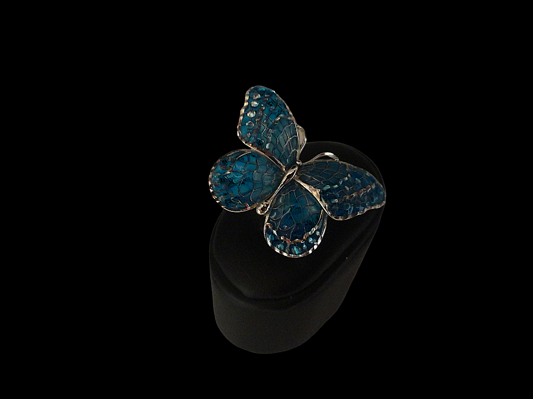 Anello argento e smalti