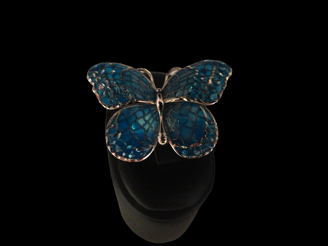 Anello argento e smalti