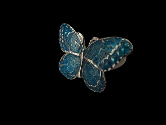 Anello argento e smalti
