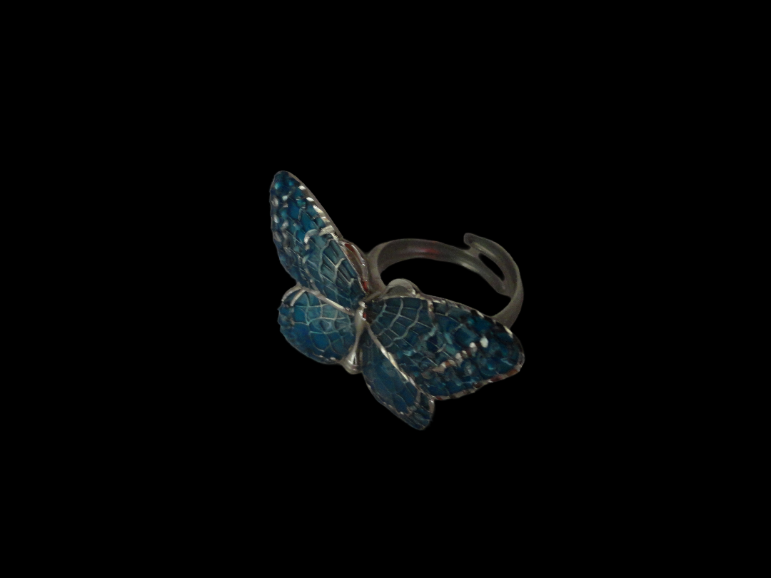 Anello argento e smalti